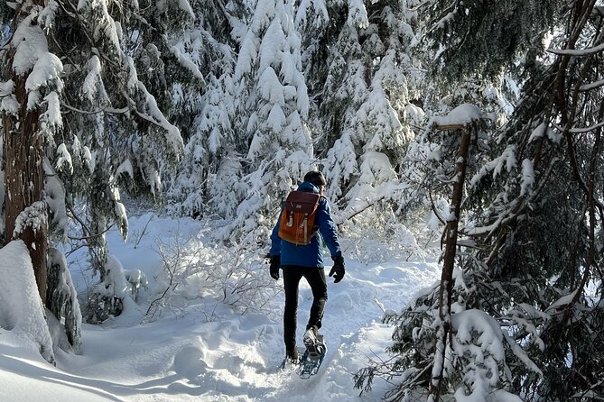 Snowshoeing At The Top Of The Sea To Sky Gondola - Why guide Adrian matters to the day