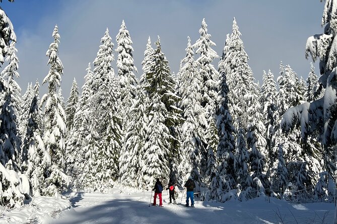 Snowshoeing At The Top Of The Sea To Sky Gondola - What the $135 price covers