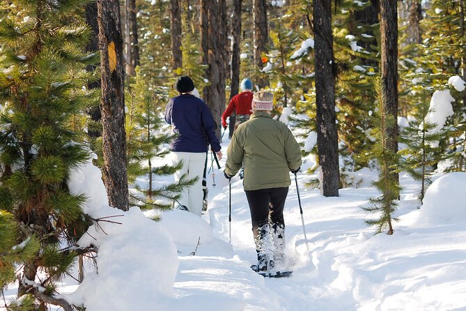 Snowshoeing At The Top Of The Sea To Sky Gondola - Clothing and preparation for a cold-weather outing