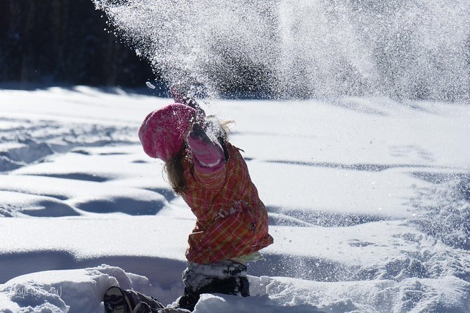 Snowshoeing in Kananaskis - Key points to know before you go