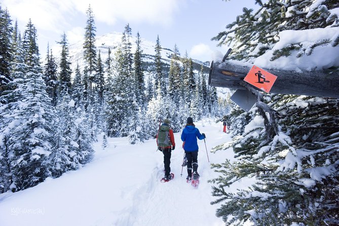 Snowshoeing in Kananaskis - At Kananaskis Outfitters, the tour begins with the basics
