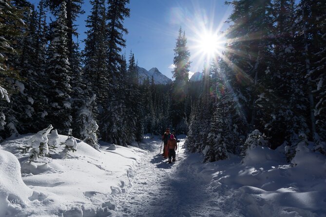 Snowshoeing in Kananaskis - Morning or afternoon: picking the better departure