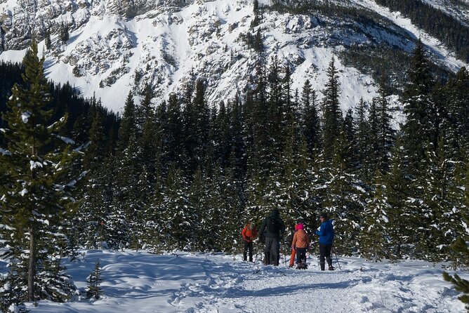 Snowshoeing in Kananaskis - Why the clothing advice matters