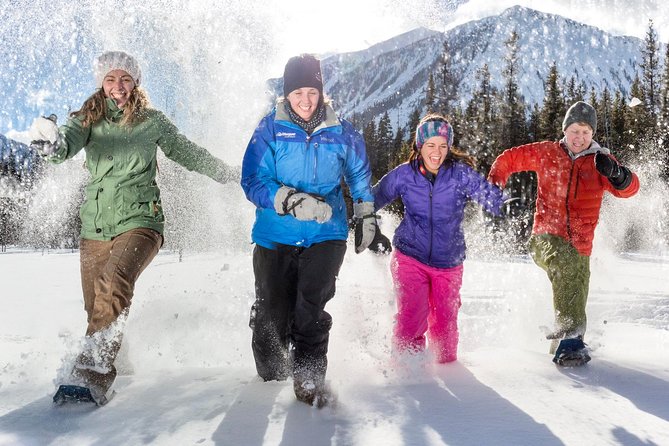Snowshoeing Tour to the Paint Pots - A gentle route into Kootenay National Park