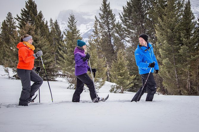 Snowshoeing Tour to the Paint Pots - Is the $81.98 price fair?