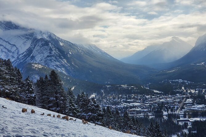 Spectacular Banff Day - Gondola Included - Why this Banff day trip works from Calgary