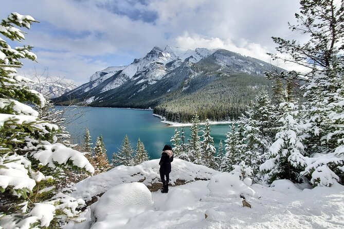 Spectacular Banff Day - Gondola Included - Bow Falls gives you a quick Banff viewpoint