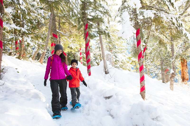 Squamish: Sea to Sky Gondola Admission Ticket - Key points to know before you go