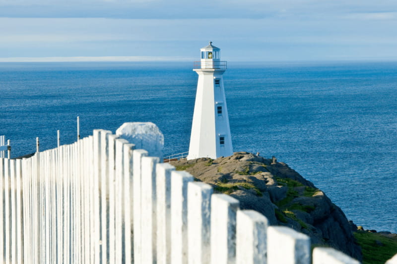 St John's Premium Driving Tour with Signal Hill & Cape Spear - Jellybean Row and the colorful city drive