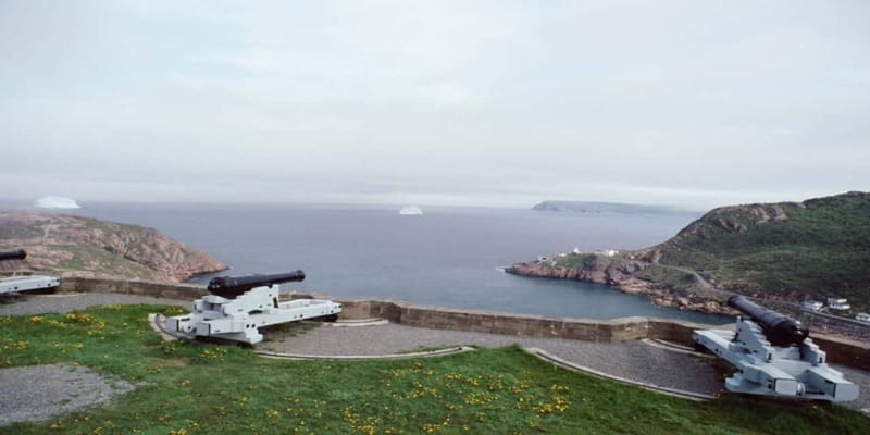St Johns Premium Tour with Iceberg Quest Boat Cruise - Should you book the St. John’s Premium Tour?