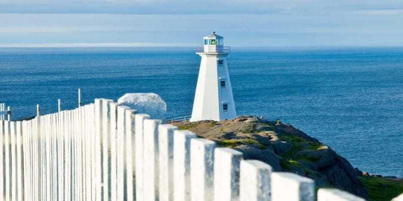 St Johns Premium Tour with Iceberg Quest Boat Cruise - What the guide adds to a packaged day