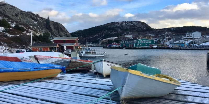 St Johns Premium Tour with Iceberg Quest Boat Cruise - Who will get the most from this tour?