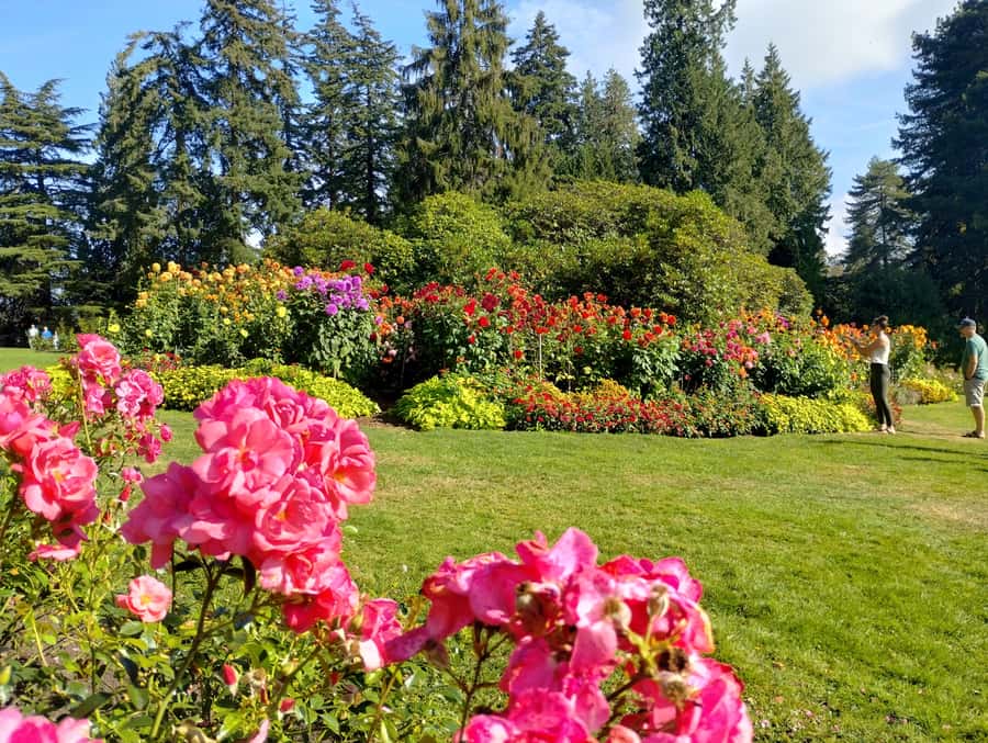 Stanley Park CarTour:SmallGroup/Comfort&CheaperThan BikeTour - Prospect Point: the main scenic stop