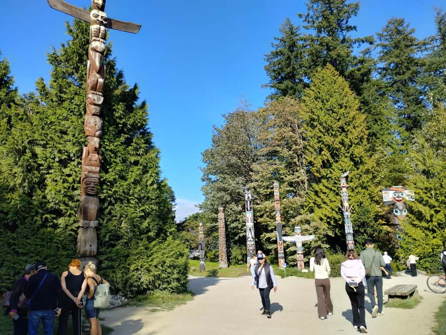 Stanley Park CarTour:SmallGroup/Comfort&CheaperThan BikeTour - Hollow Tree and the forest side of the park