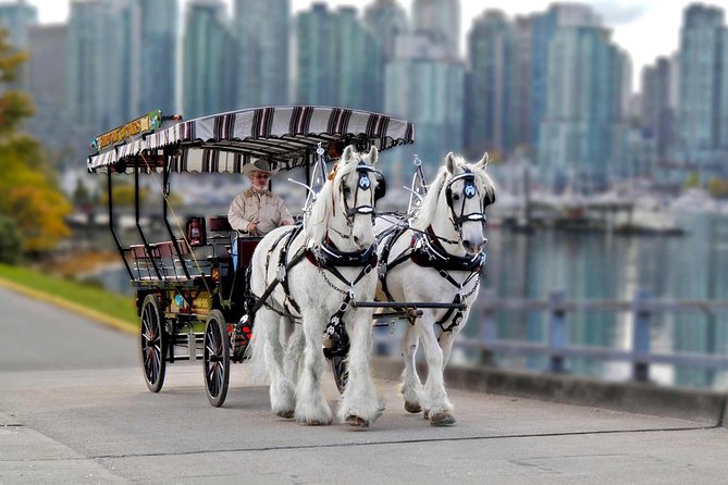 Stanley Park Horse Drawn Tour in Vancouver - Starting beside Coal Harbour and downtown Vancouver