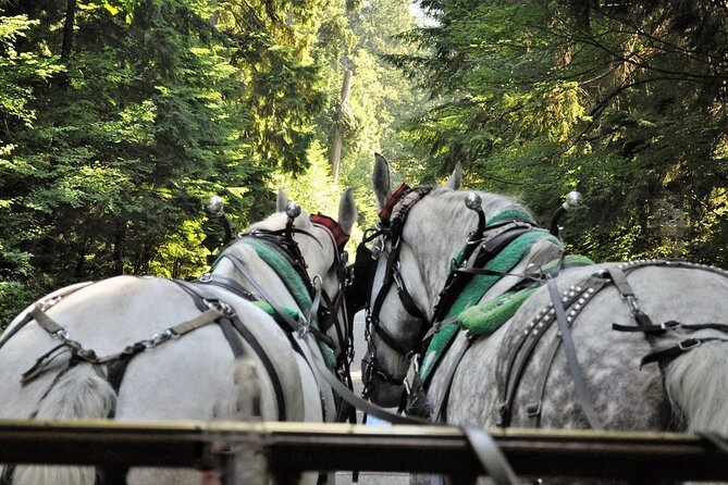 Stanley Park Horse Drawn Tour in Vancouver - The totem poles and a five-minute photo stop