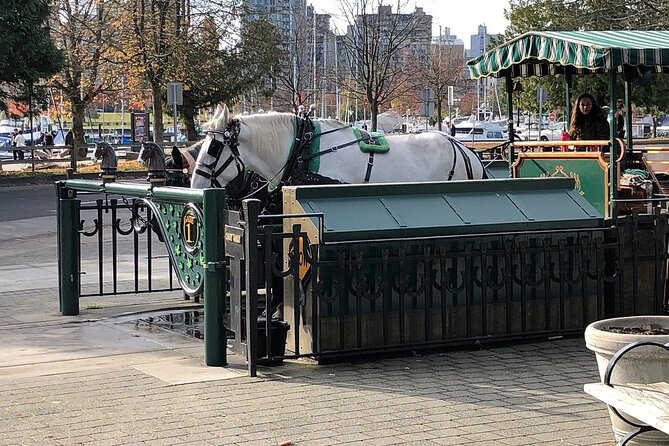 Stanley Park Horse Drawn Tour in Vancouver - What makes the guides important