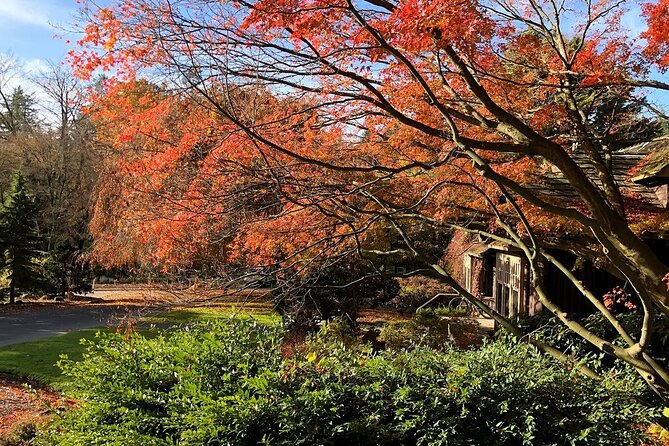 Stanley Park Horse Drawn Tour in Vancouver - Is $48.91 good value for one hour?