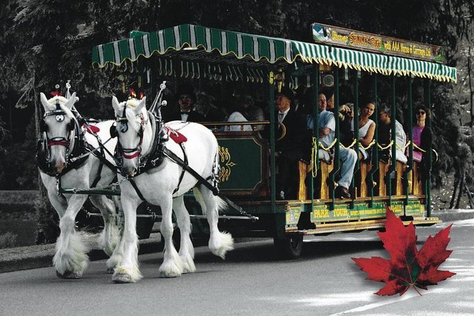 Stanley Park Horse Drawn Tour in Vancouver - Following Park Drive beside the Seawall