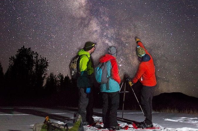 Stargazing Tour - Kananaskis After Dark - The open meadow is the evening’s main pause