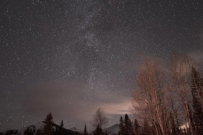 Stargazing Tour - Kananaskis After Dark - Following Claude through the evening forest