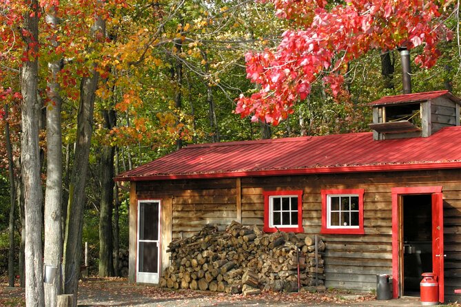 Sugar Shack Tour from Montreal - A traditional buffet built around maple syrup
