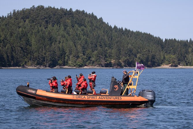Summer Whale Watching Tour in a Zodiac Boat in Victoria - Clothing, Seating, and Practical Comfort