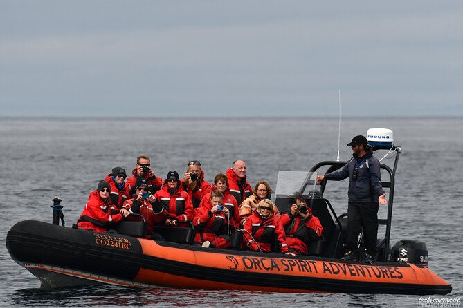 Summer Whale Watching Tour in a Zodiac Boat in Victoria - Who Should Book This Experience?