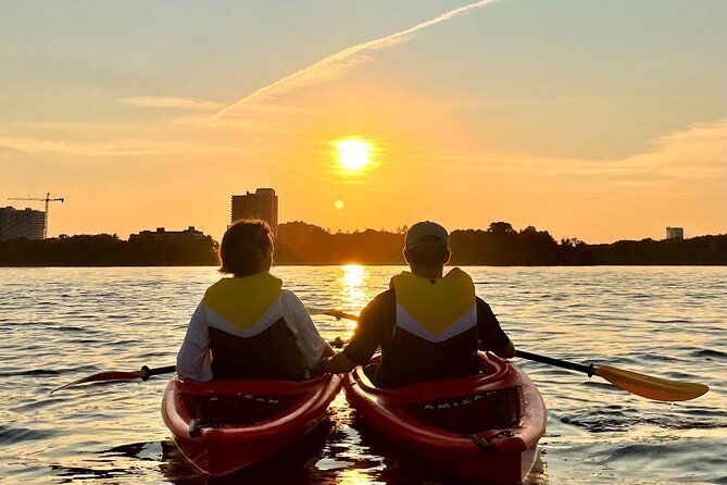Sunset Kayak Tour in Downtown Ottawa and Gatineau - What the guides add to the experience