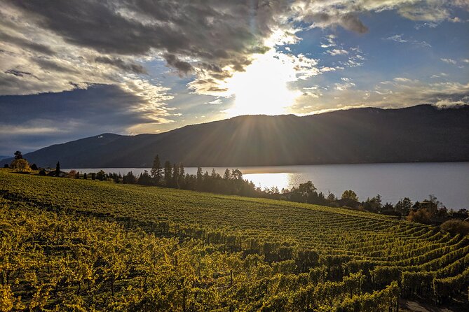 Sunset Sip Wine Tour - The $119.34 price: where the value sits