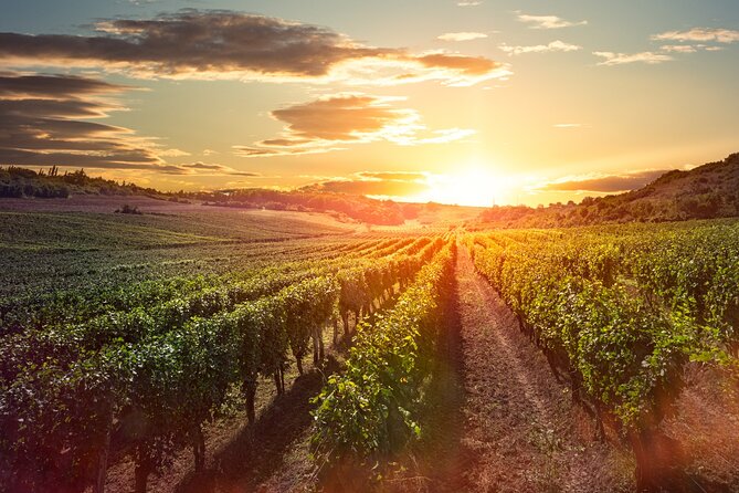 Sunset Sip Wine Tour - Timing, pickup, and route checks