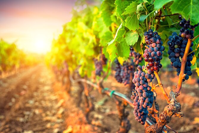 Sunset Sip Wine Tour - Volcanic Hills brings a broader range of wine