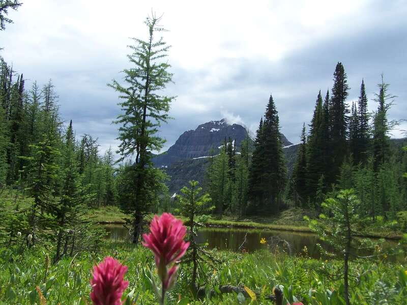 Sunshine Meadows Daily Guided Hike with Gondola - Why Sunshine Meadows makes a strong hiking day