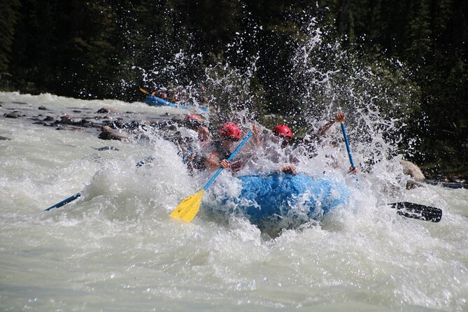 Sunwapta River Self-Drive Rafting Trip - Guides keep the action fun and controlled