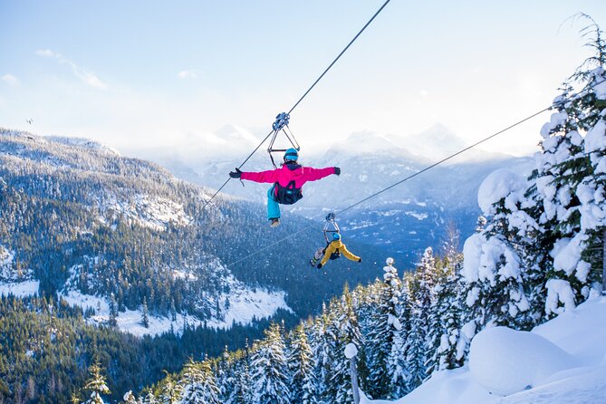 Superfly Ziplines on Cougar Mountain - includes 4 ziplines! - Four things to know before you book