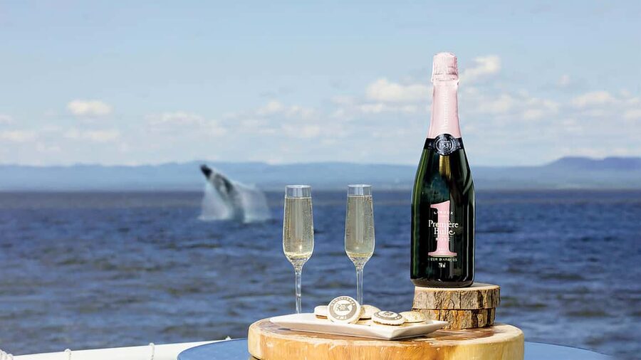 Tadoussac/Charlevoix: VIP Lounge OR UpperDeck Whale Watching - Why this part of the St. Lawrence is special