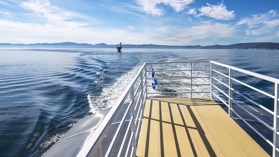 Tadoussac/Charlevoix: VIP Lounge OR UpperDeck Whale Watching - Who should book this whale watching tour?