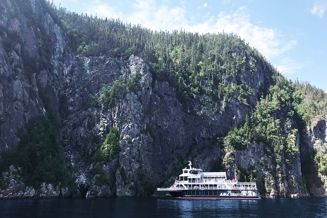 Tadoussac/Charlevoix: Whale Watching Tour - Why Tadoussac is such a strong whale watching base