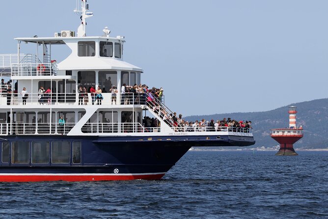 Tadoussac/Charlevoix: Whale Watching Tour - Weather, comfort, and practical planning