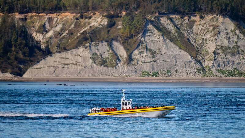 Tadoussac/Charlevoix: Whale Watching Tour & Bear Observation - A few smart planning tips