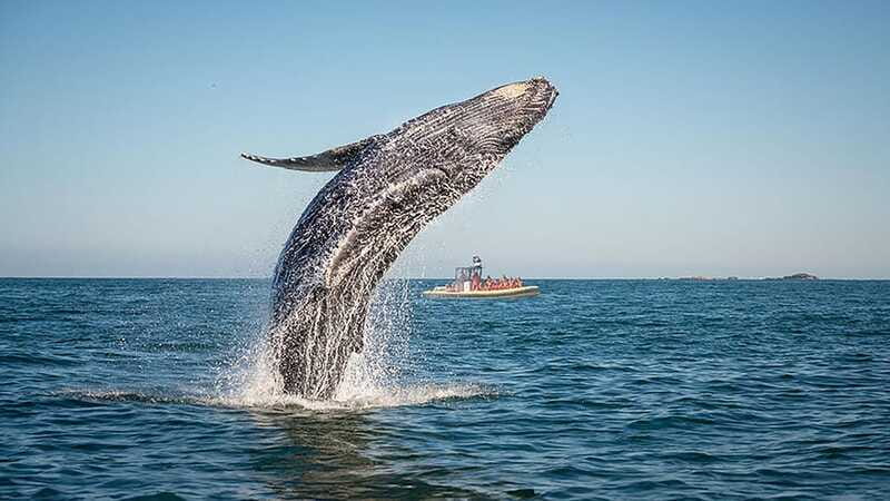 Tadoussac/Charlevoix: Whale Watching Zodiac Tour - The route from the dock to the open river
