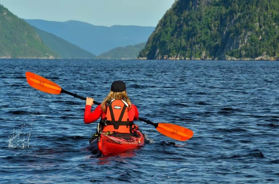Tadoussac: Guided Sea Kayaking Adventure - Key points to know before you paddle