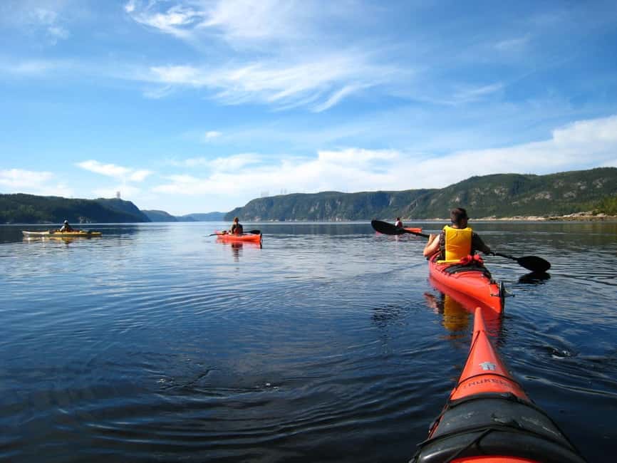 Tadoussac: Guided Sea Kayaking Adventure - Booking flexibility and timing