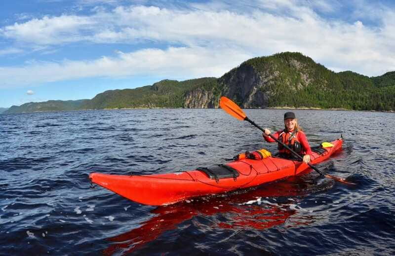 Tadoussac: Guided Sea Kayaking Adventure - Watching for seabirds, seals, and belugas