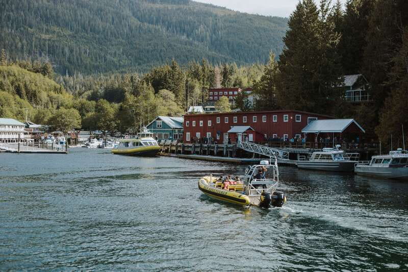 Telegraph Cove: 3-Hour Whale Watching Tour in a Zodiac Boat - Key points to know before you book