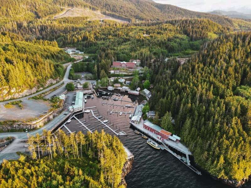 Telegraph Cove: Half-Day Kayaking Tour - Booking and cancellation details