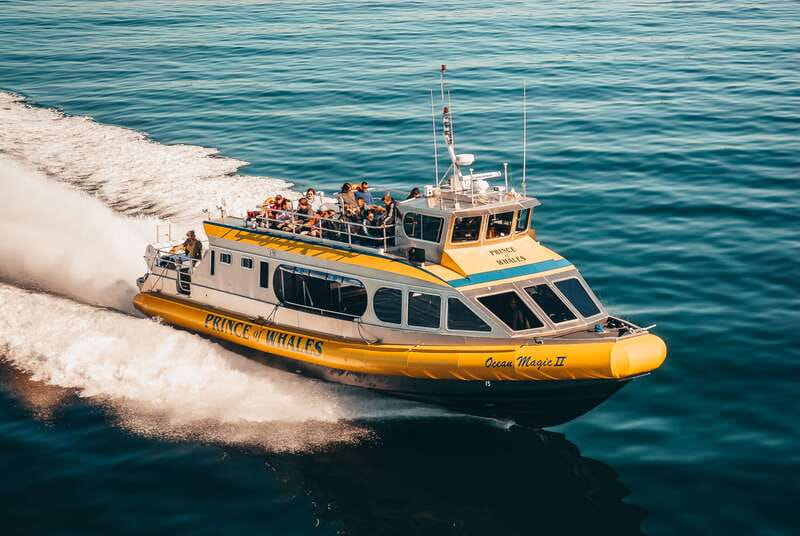 Telegraph Cove: Whale Watching Adventure with Free Photos - Key points at a glance