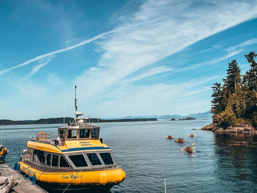 Telegraph Cove: Whale Watching Adventure with Free Photos - What the three naturalists add