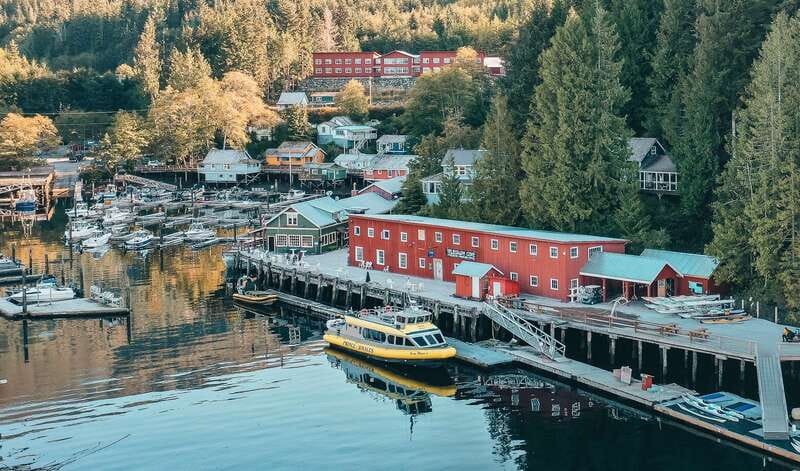 Telegraph Cove: Whale Watching Adventure with Free Photos - Staying warm for three hours