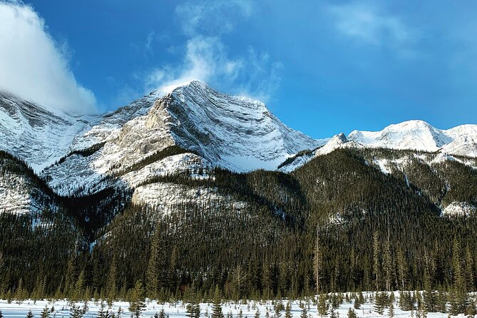 The BANFF NATURE Walk - 2hr Adventure - Wildlife without the drama